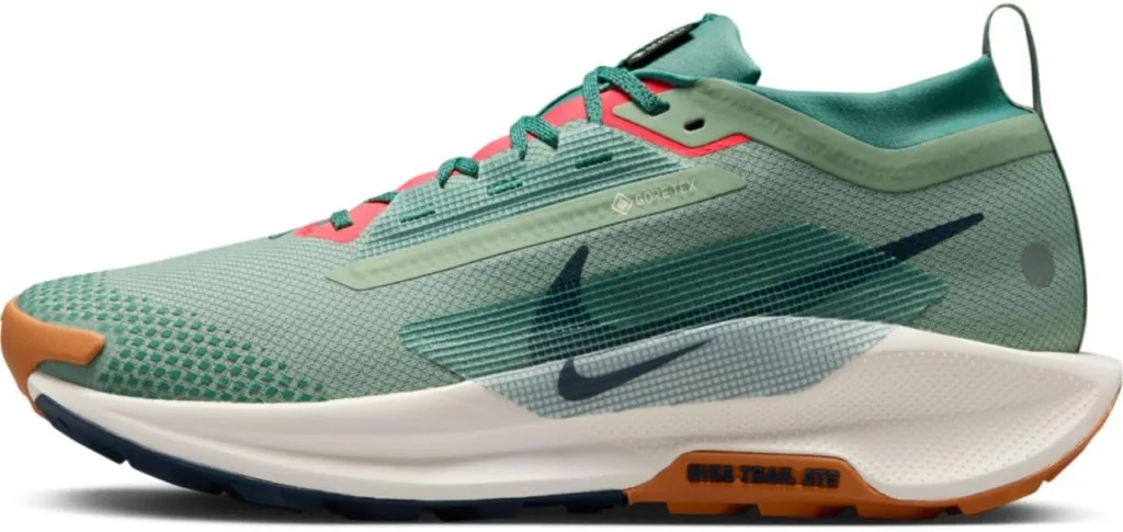 Nike Nike Pegasus Trail 5 Gtxtrail Herr