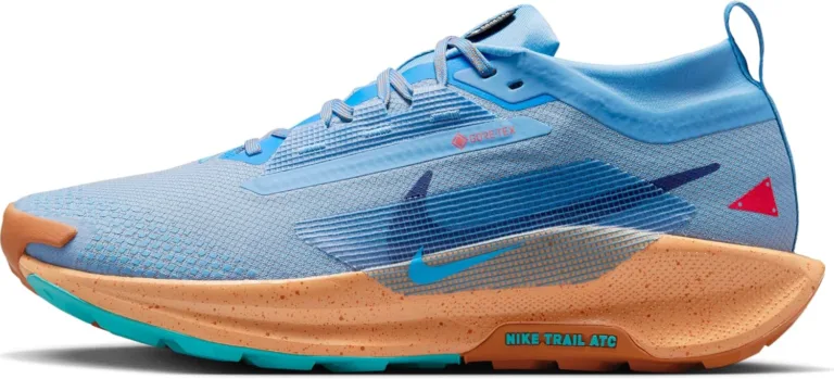 Nike Pegasus Trail 5 Gore Textiles Herr