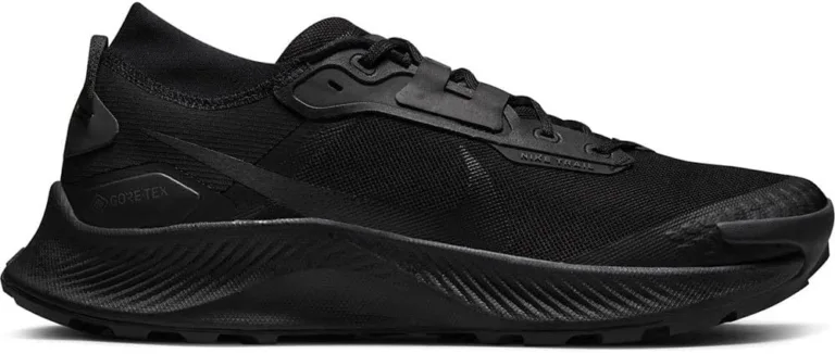 Nike Pegasus Trail 3 Gore-texLöpande Herr